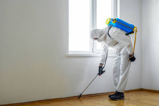 Best Termite Control Services  in Wilton Manors, FL